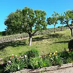 Le Logis Du Vendangeur Vakantiehuis Champillon