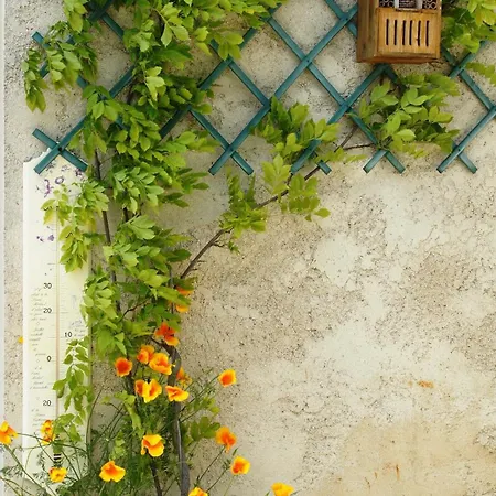 Tatil Evi Le Logis Du Vendangeur *