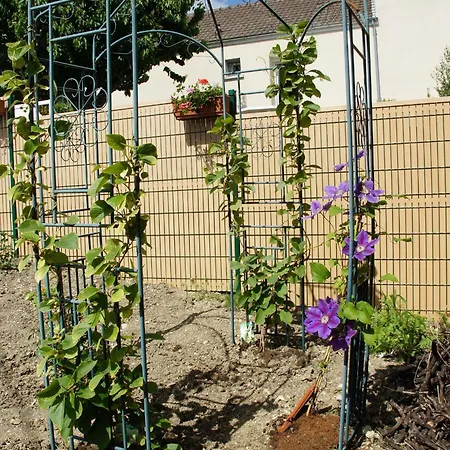 Holiday home Le Logis Du Vendangeur Champillon