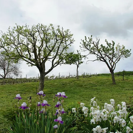 Le Logis Du Vendangeur *