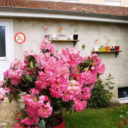 Le Logis Du Vendangeur Champillon