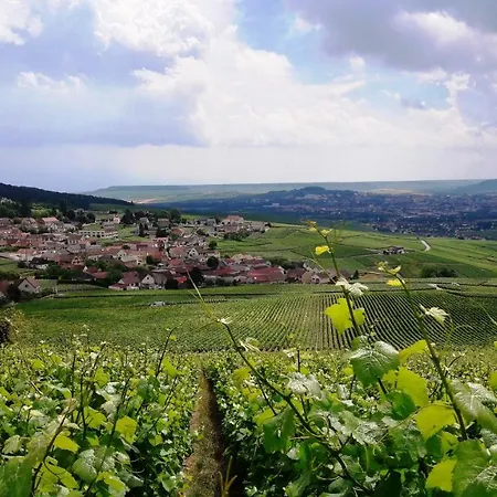 Le Logis Du Vendangeur Tatil Evi *