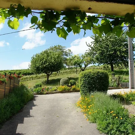 Casa vacanze Le Logis Du Vendangeur *