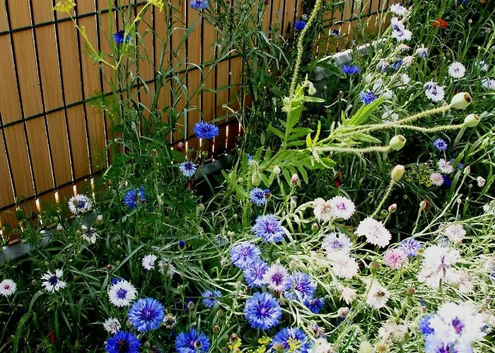 Holiday home Le Logis Du Vendangeur