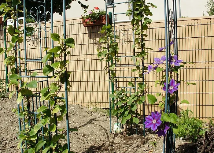 Holiday home Le Logis Du Vendangeur Champillon