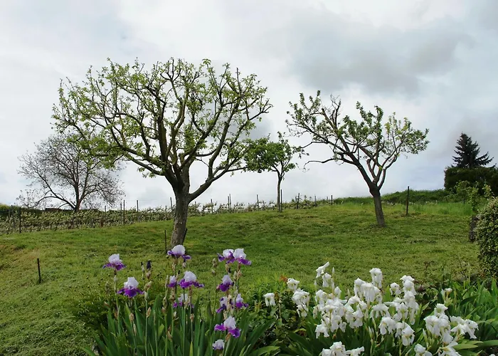Le Logis Du Vendangeur *