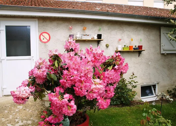 Le Logis Du Vendangeur Champillon