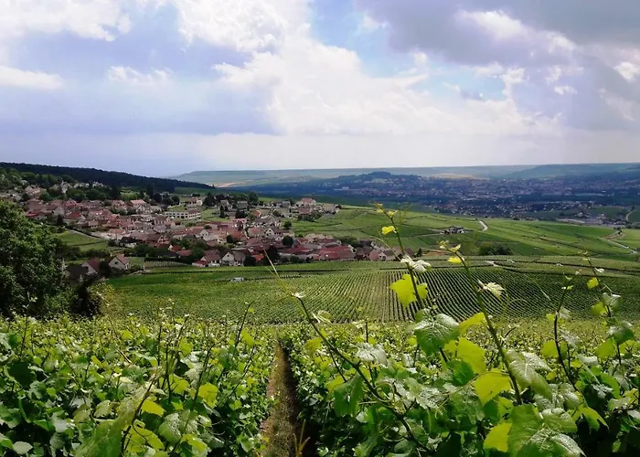 Le Logis Du Vendangeur Holiday home *