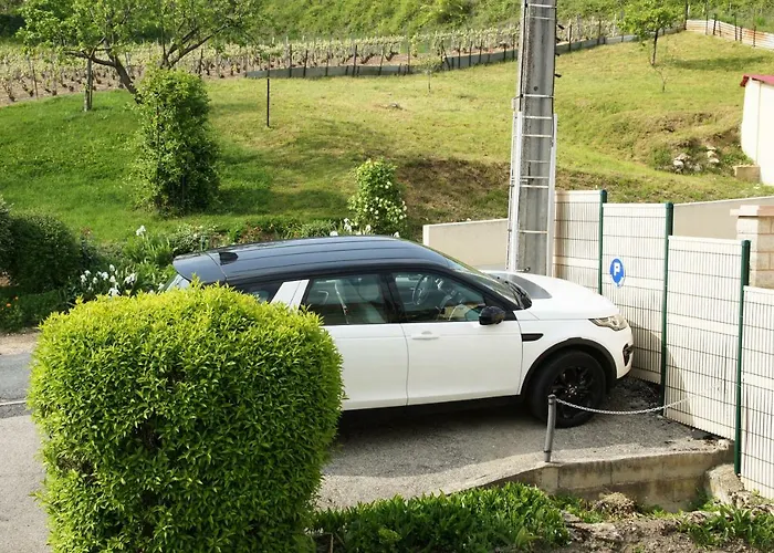 Le Logis Du Vendangeur * Champillon